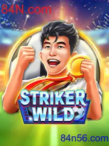 StrikerWILD